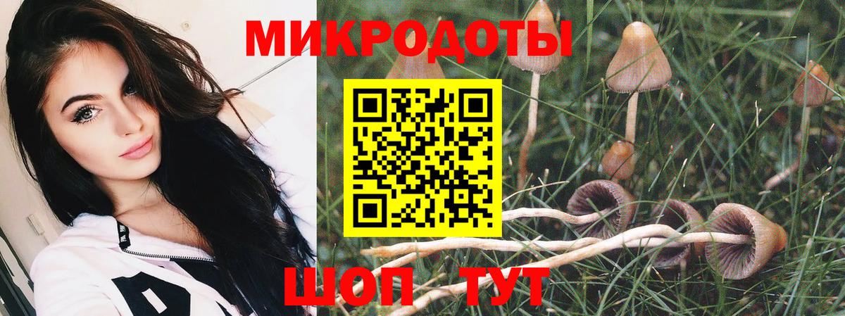 Галлюциногенные грибы Psilocybe Тосно