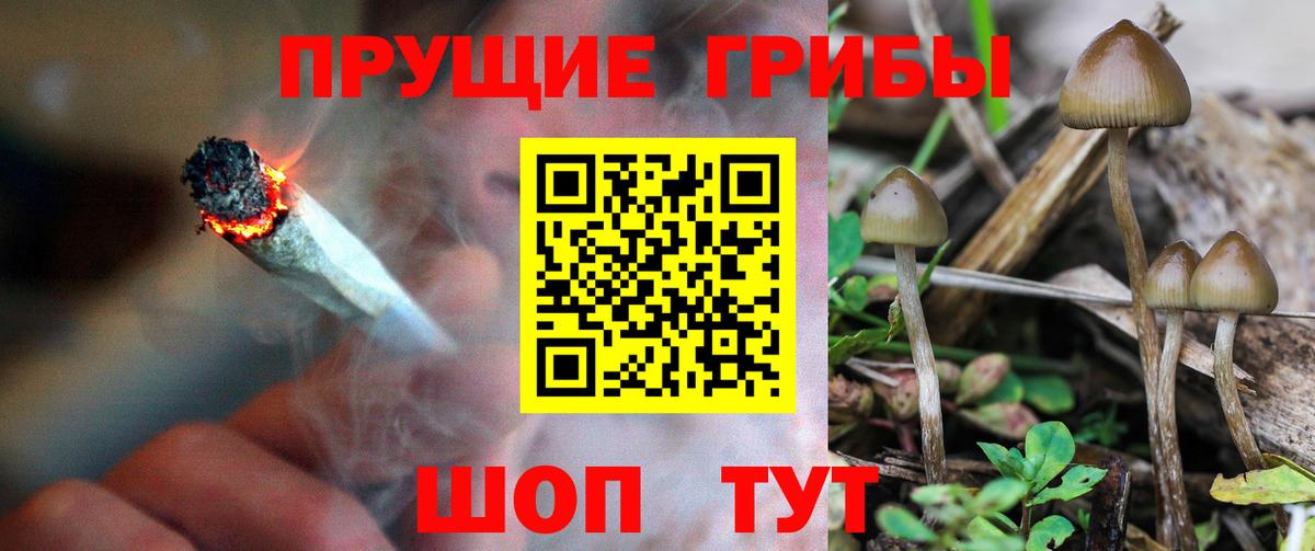 купить наркоту  Галлюциногенные грибы прущие грибы  Галлюциногенные грибы мухоморы  Вход с VPN  Тосно 