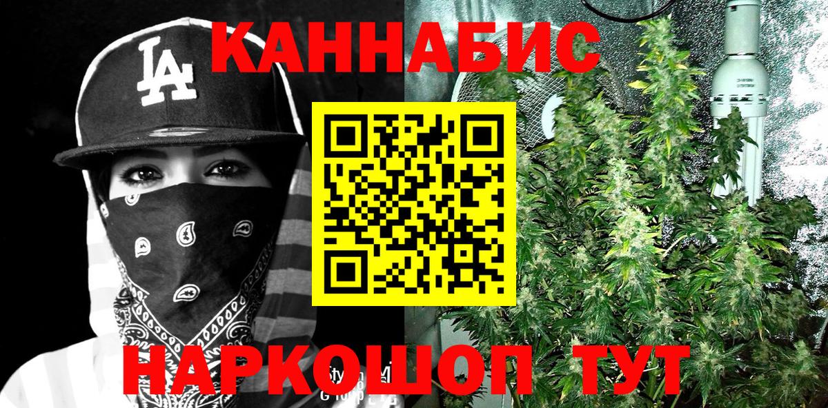 Марихуана сатива  Конопля Ganja  Вход с VPN  Конопля планчик  Каннабис VHQ  Тосно 